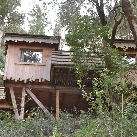 Les Cabanes Dans Les Bois Logis Hotel Villedubert Exterior photo