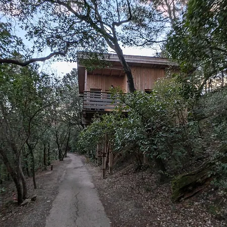 Les Cabanes Dans Les Bois Logis Hotel Villedubert Exterior photo