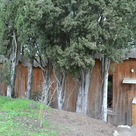 Les Cabanes Dans Les Bois Logis Hotel Villedubert Exterior photo