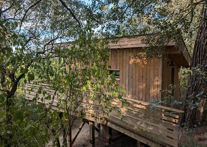 Les Cabanes Dans Les Bois