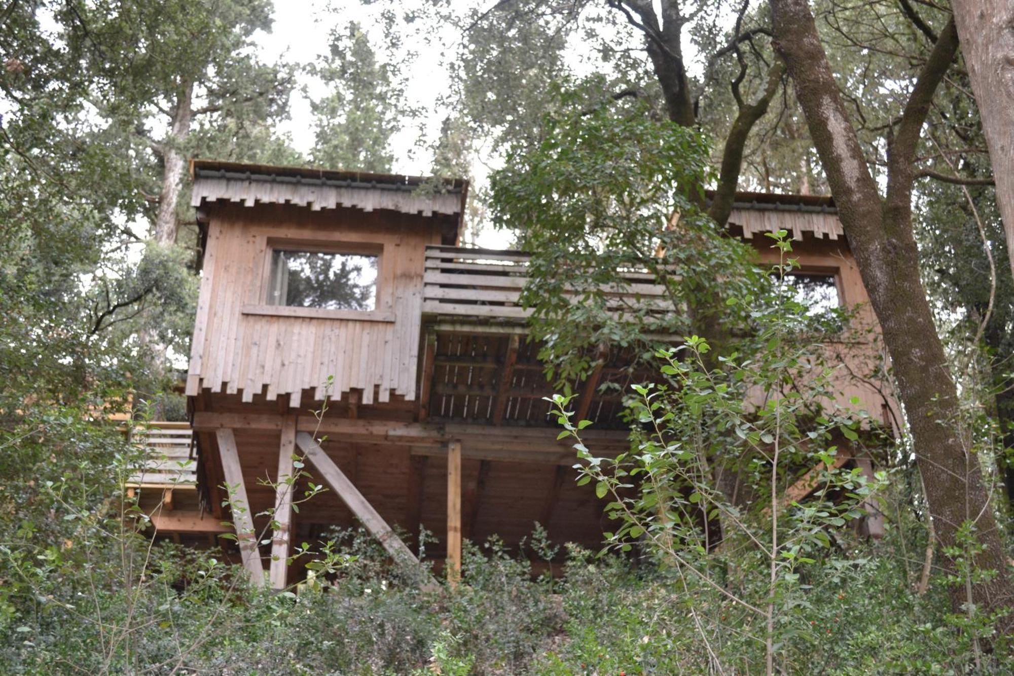 Les Dans Les Bois Villedubert