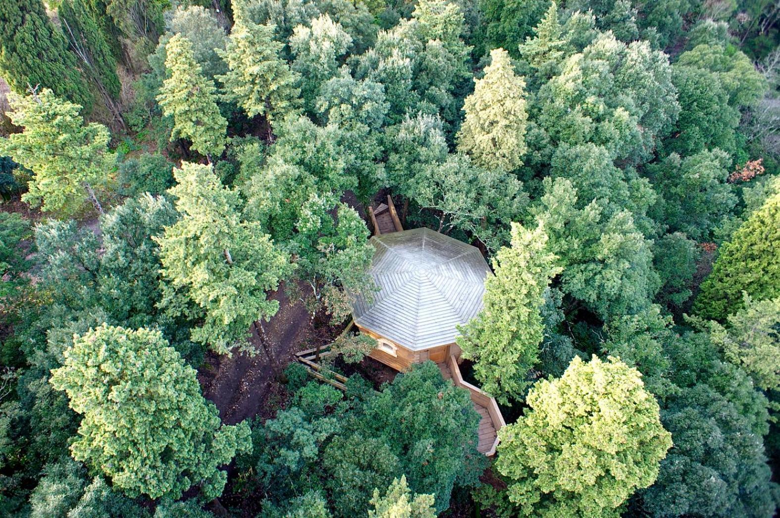 Les Dans Les Bois