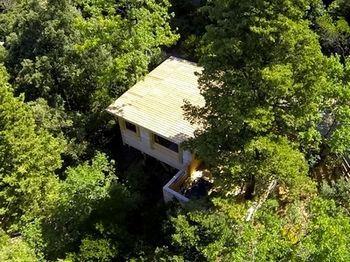 Hotel Les Dans Les Bois Villedubert