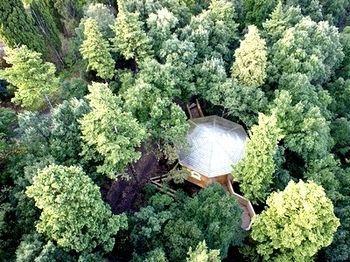 Les Dans Les Bois Hotel 3*