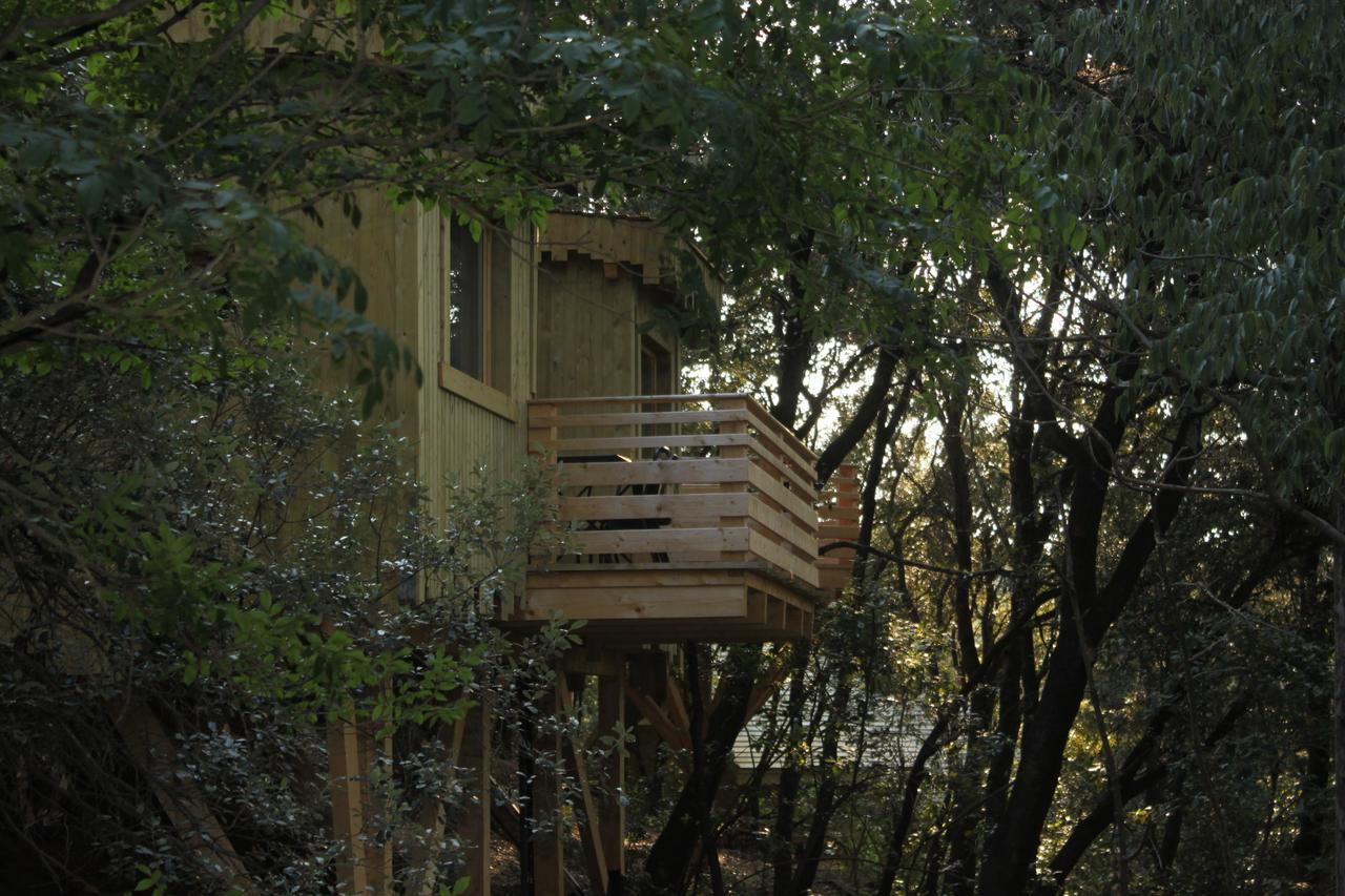 Les Dans Les Bois Logis 3*