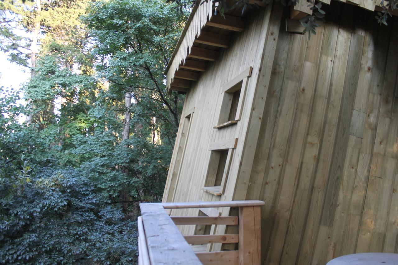 Les Dans Les Bois Logis 3* Villedubert
