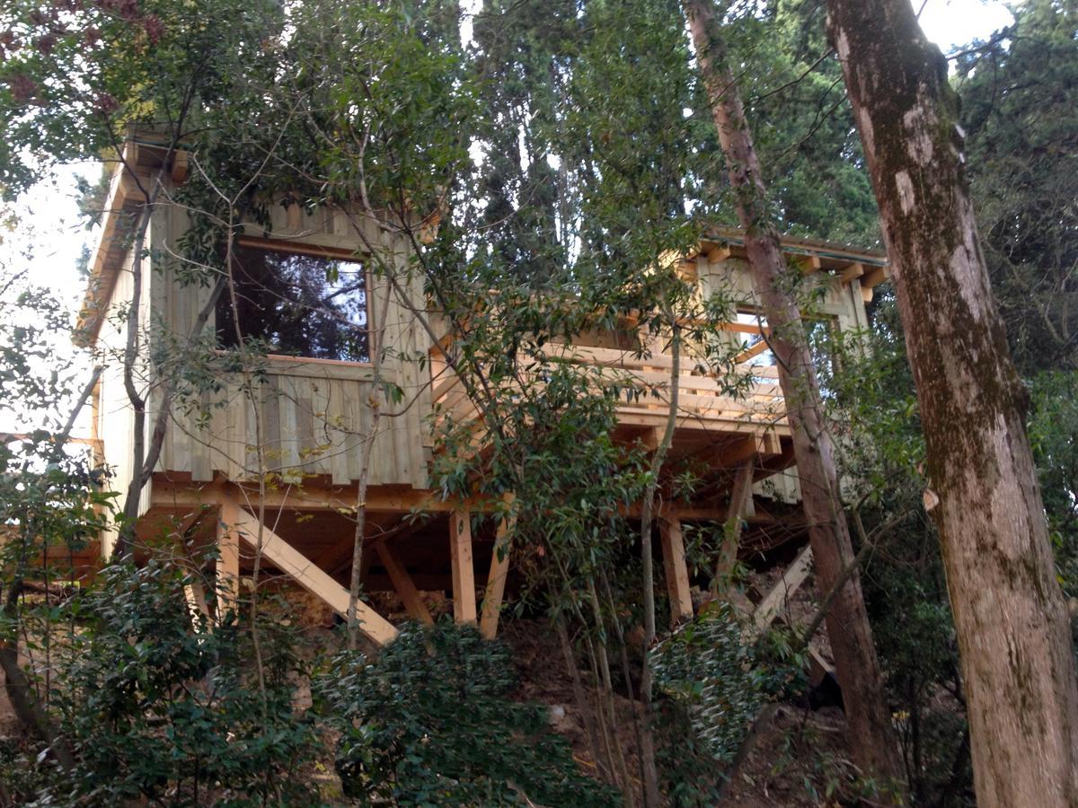 Les Dans Les Bois Hotel
