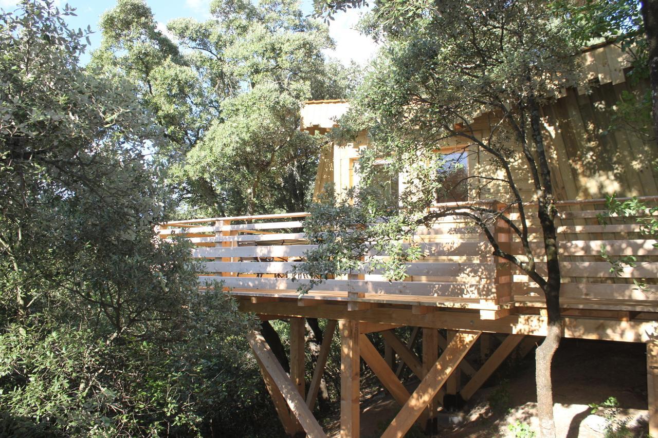 Les Dans Les Bois Logis 3* Villedubert