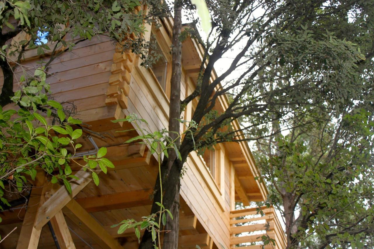 Les Dans Les Bois Hotel 3*