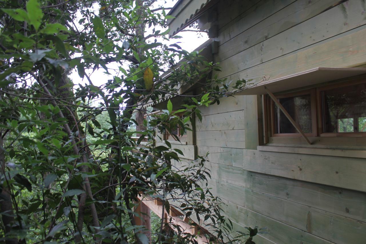 Hotel Les Dans Les Bois Villedubert
