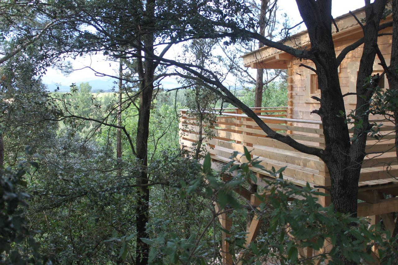 Les Dans Les Bois Logis