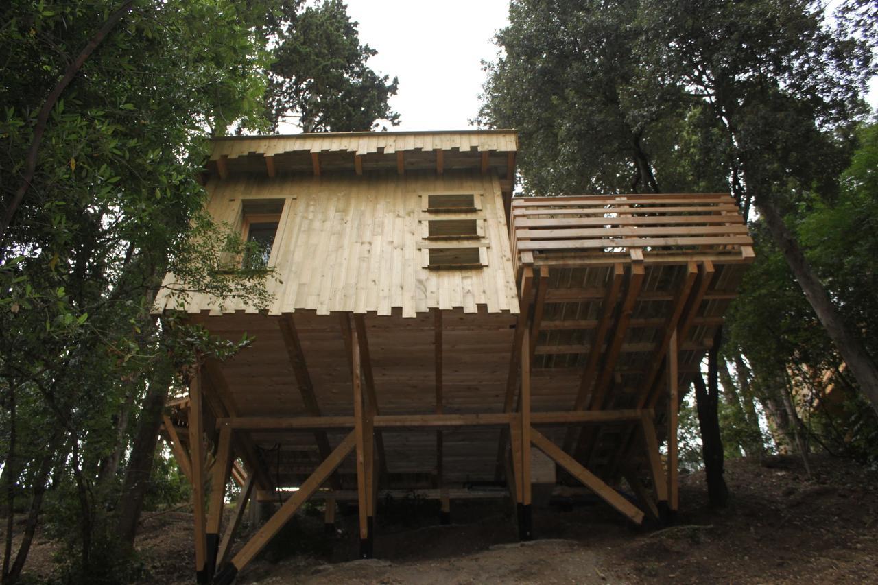 Les Dans Les Bois Logis