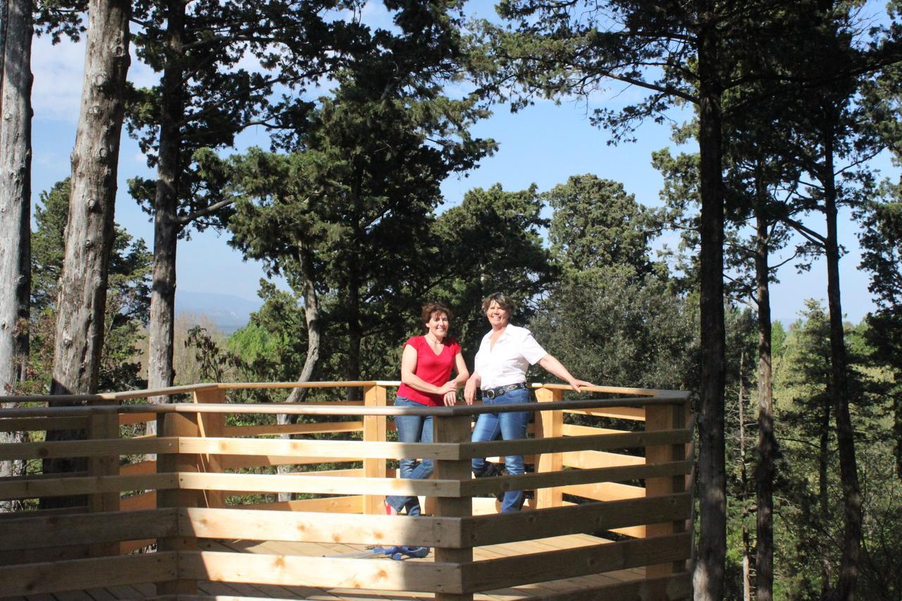 Les Dans Les Bois Logis 3* Villedubert