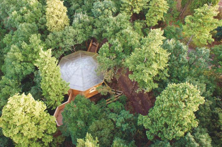 Les Dans Les Bois Hotel