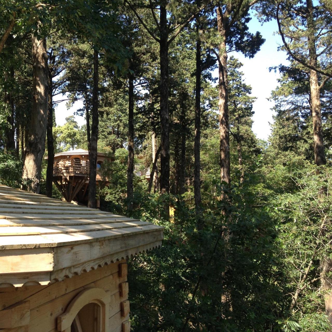 Les Dans Les Bois Logis 3*