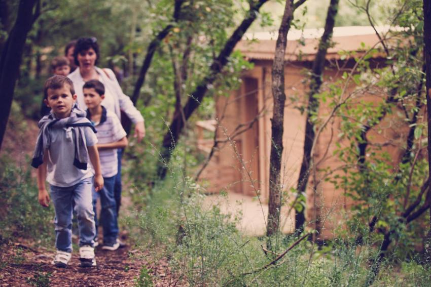 Les Dans Les Bois Logis